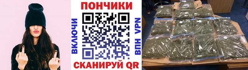 Конопля конопля Мурманск